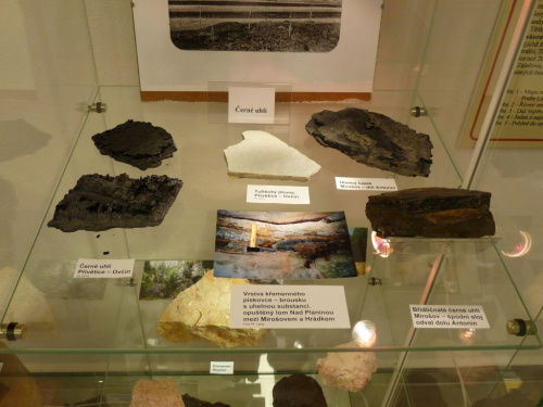 Část expozice věnovaná černému uhlí Část expozice věnovaná černému uhlí