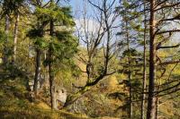 Kryoplanační terasy pod&nbsp;vrcholem Lipovska. Foto R. Rotter